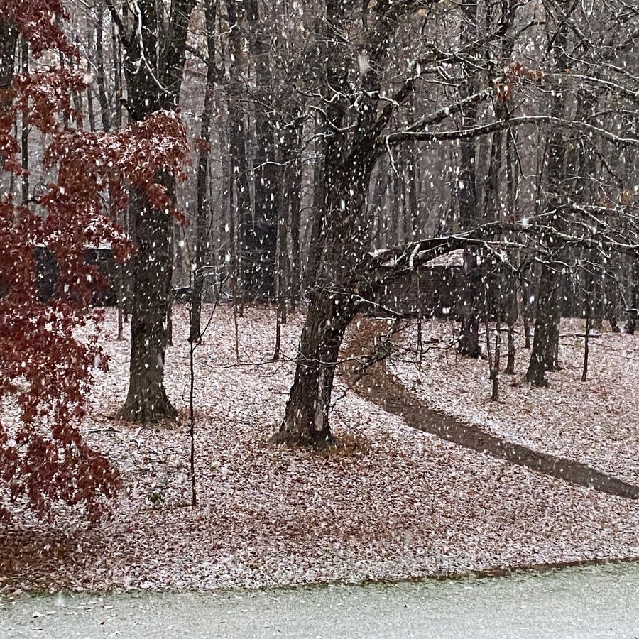 A path curving through autumn trees, the first snow dusting the fallen leaves.