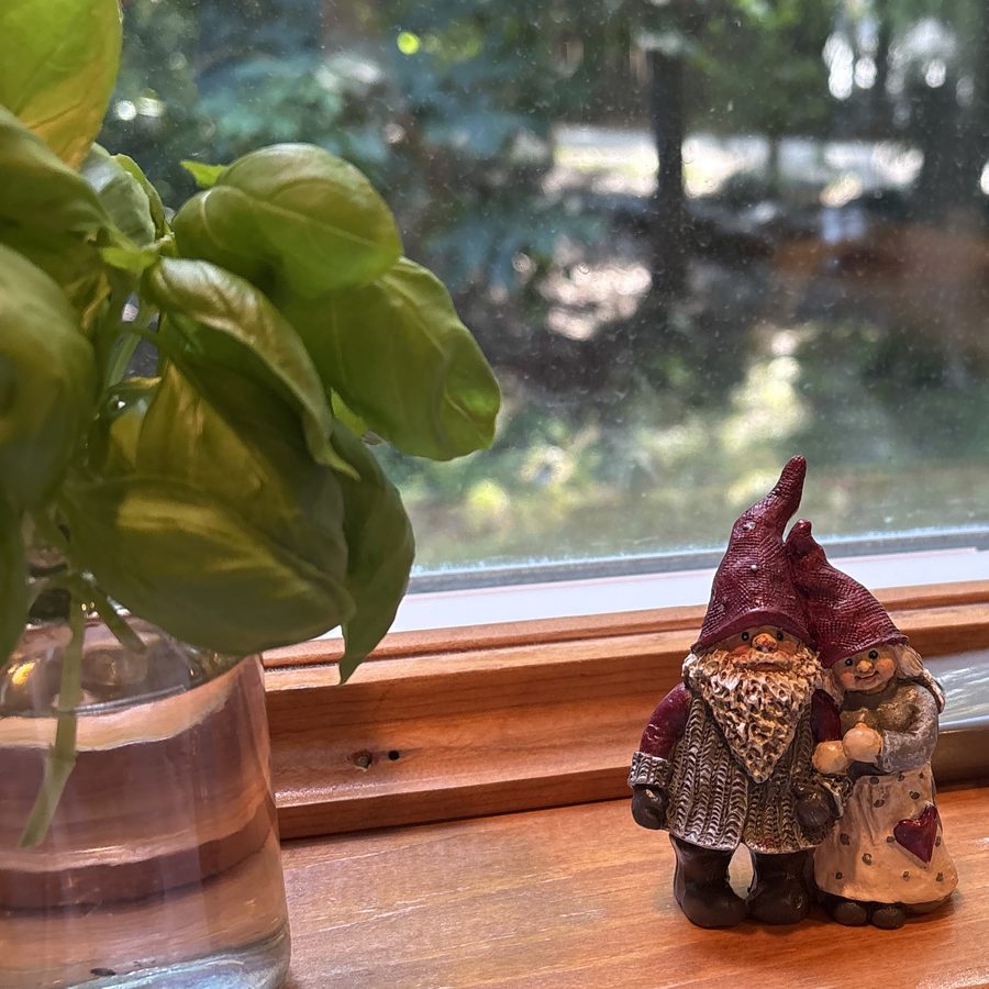 Two little gnome figurines on a wooden windowsill beside a jar of basil, with trees outside.