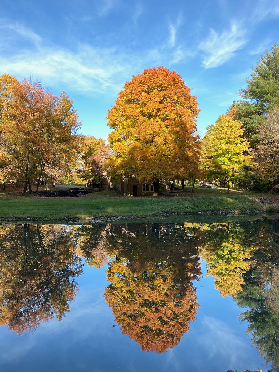 Golden autumn maples reflected in a still pond under a blue sky.