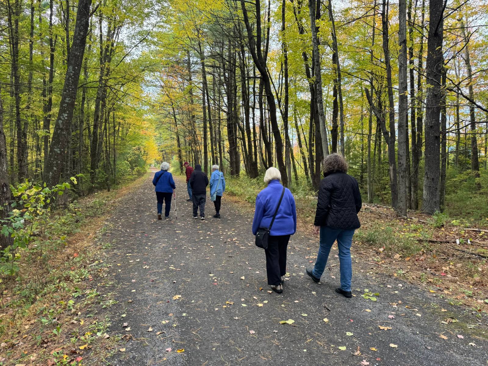 Erika, in a black jacket, walking with a small group down a leafy woodland path in early fall, seen from behind.